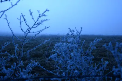 DSC_1034 (Large).JPG